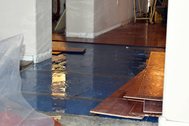 Professional Flood Cleanup technician working in Forestville, MI