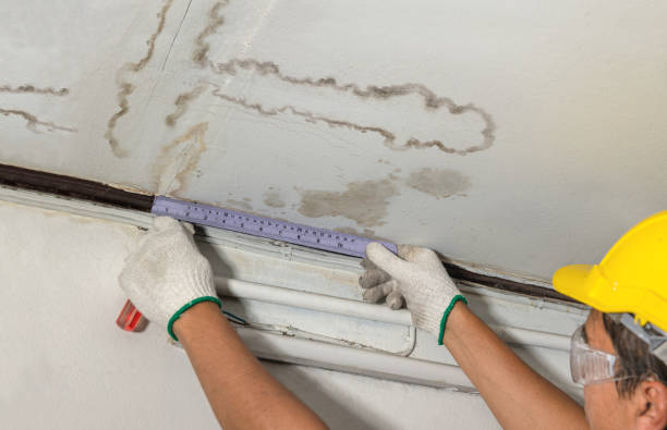 Reliable Flood Cleanup contractor in Forestville, MI by Water Damage Irwin